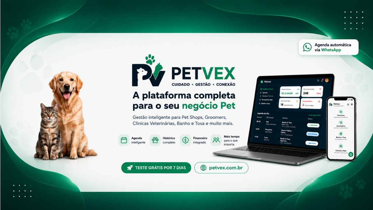 teste slide